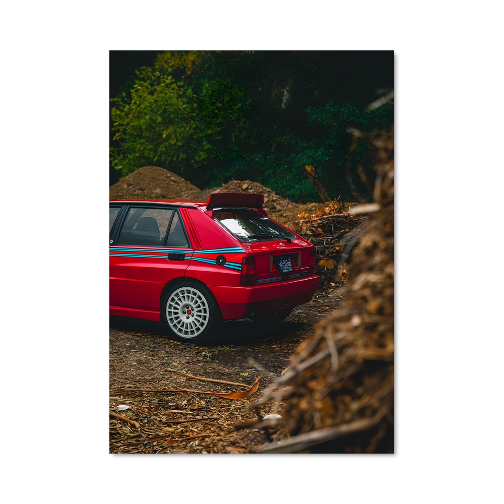 Poster Delta en Fête